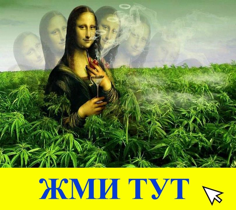 Купить наркотики в Коле